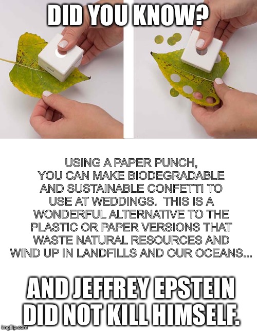 Did you know | DID YOU KNOW? USING A PAPER PUNCH, YOU CAN MAKE BIODEGRADABLE AND SUSTAINABLE CONFETTI TO USE AT WEDDINGS.  THIS IS A WONDERFUL ALTERNATIVE TO THE PLASTIC OR PAPER VERSIONS THAT WASTE NATURAL RESOURCES AND WIND UP IN LANDFILLS AND OUR OCEANS... AND JEFFREY EPSTEIN DID NOT KILL HIMSELF. | image tagged in jeffrey epstein,did you know | made w/ Imgflip meme maker