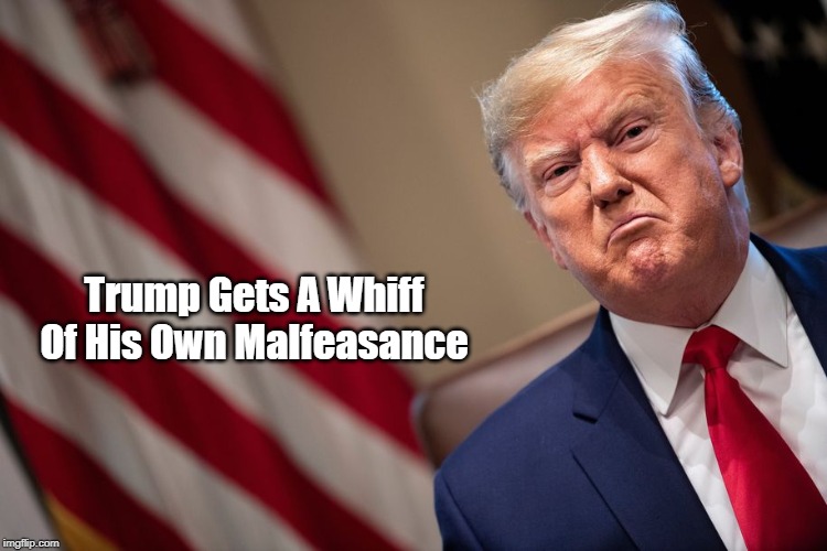 Trump Gets A Whiff Of His Own Malfeasance | made w/ Imgflip meme maker