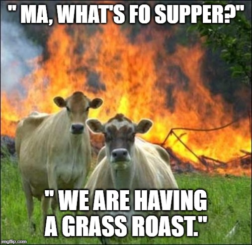 Evil Cows | " MA, WHAT'S FO SUPPER?"; " WE ARE HAVING A GRASS ROAST." | image tagged in memes,evil cows | made w/ Imgflip meme maker