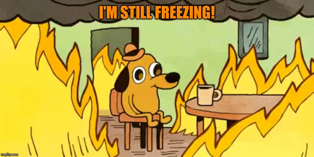 Dog on fire | I'M STILL FREEZING! | image tagged in dog on fire | made w/ Imgflip meme maker