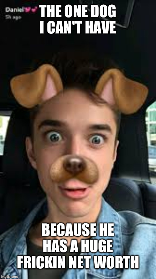 Daniel Seavey snapchat | THE ONE DOG I CAN'T HAVE; BECAUSE HE HAS A HUGE FRICKIN NET WORTH | image tagged in daniel seavey snapchat | made w/ Imgflip meme maker