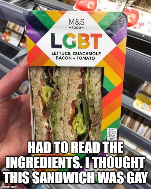 lgbt | HAD TO READ THE INGREDIENTS. I THOUGHT THIS SANDWICH WAS GAY | image tagged in lgbt | made w/ Imgflip meme maker