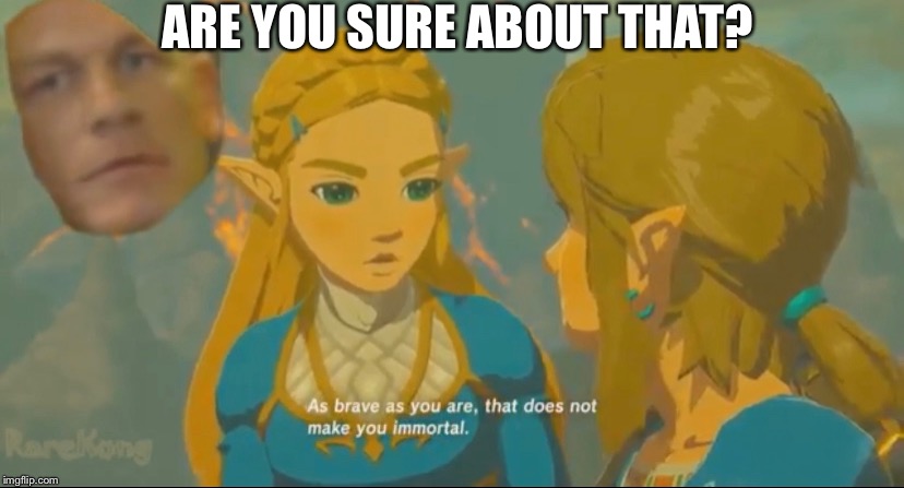 ... | ARE YOU SURE ABOUT THAT? | image tagged in zelda | made w/ Imgflip meme maker
