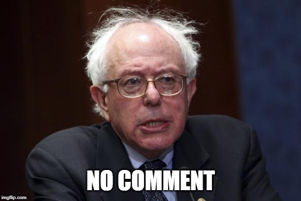 Bernie Sanders | NO COMMENT | image tagged in bernie sanders | made w/ Imgflip meme maker