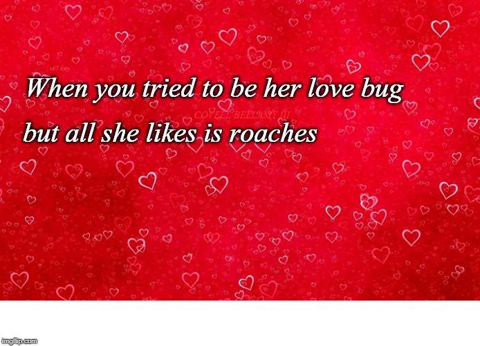 High Quality When All She Loves Are Roaches Blank Meme Template