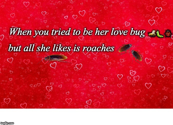 Her Love Bug She Likes Roaches Blank Meme Template