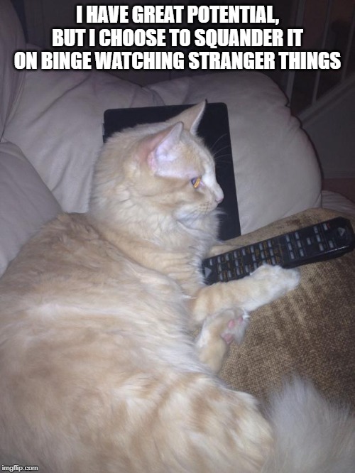 Funny cat | I HAVE GREAT POTENTIAL, BUT I CHOOSE TO SQUANDER IT ON BINGE WATCHING STRANGER THINGS | image tagged in funny cat | made w/ Imgflip meme maker