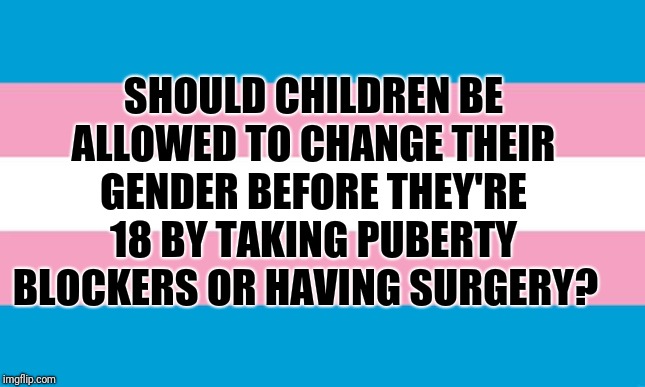 Parents of a 7 year old are fighting about which gender he should be. Meanwhile kids can't decide what to eat for lunch. | SHOULD CHILDREN BE ALLOWED TO CHANGE THEIR GENDER BEFORE THEY'RE 18 BY TAKING PUBERTY BLOCKERS OR HAVING SURGERY? | image tagged in transgender flag | made w/ Imgflip meme maker