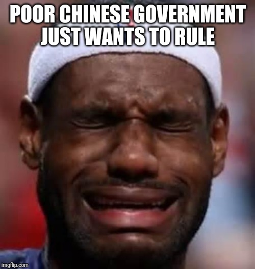 Lebron Crying | POOR CHINESE GOVERNMENT JUST WANTS TO RULE | image tagged in lebron crying | made w/ Imgflip meme maker