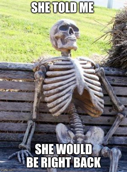 Waiting Skeleton | SHE TOLD ME; SHE WOULD BE RIGHT BACK | image tagged in memes,waiting skeleton | made w/ Imgflip meme maker