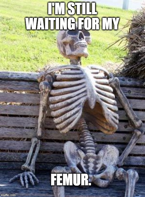 Waiting Skeleton Meme | I'M STILL WAITING FOR MY; FEMUR. | image tagged in memes,waiting skeleton | made w/ Imgflip meme maker