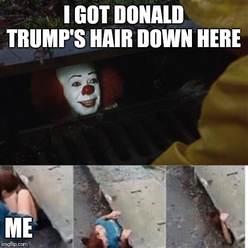 pennywise in sewer | I GOT DONALD TRUMP'S HAIR DOWN HERE; ME | image tagged in pennywise in sewer | made w/ Imgflip meme maker