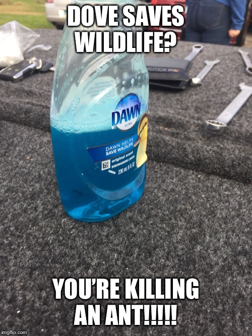 Oh REALLY? | DOVE SAVES WILDLIFE? YOU’RE KILLING AN ANT!!!!! | image tagged in oh really | made w/ Imgflip meme maker
