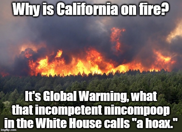 It's here. It's now. It'll get worse. | Why is California on fire? It's Global Warming, what that incompetent nincompoop in the White House calls "a hoax." | image tagged in forest fire,trump,california fires,global warming,climate change,idiot | made w/ Imgflip meme maker