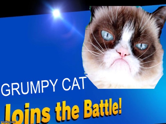 Grumpy cat joins the battle | image tagged in grumpy cat,super smash bros,ultimate | made w/ Imgflip meme maker