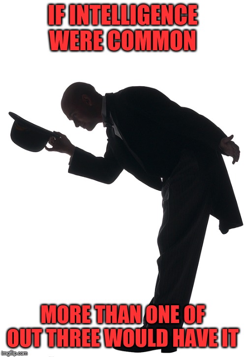 Polite Bow | IF INTELLIGENCE WERE COMMON MORE THAN ONE OF OUT THREE WOULD HAVE IT | image tagged in polite bow | made w/ Imgflip meme maker