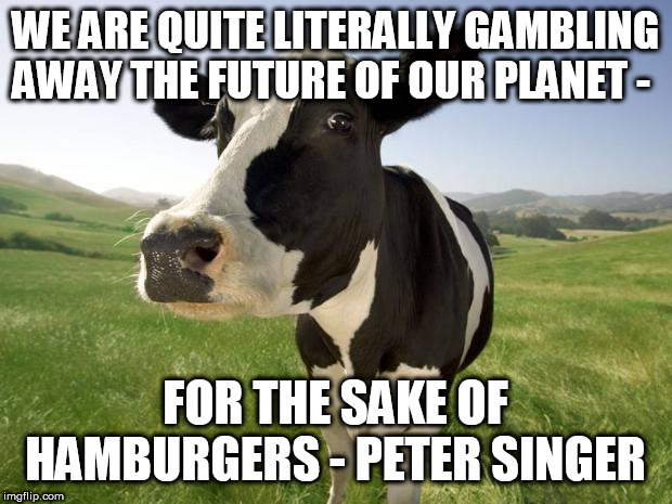 cow | WE ARE QUITE LITERALLY GAMBLING AWAY THE FUTURE OF OUR PLANET -; FOR THE SAKE OF HAMBURGERS - PETER SINGER | image tagged in cow | made w/ Imgflip meme maker