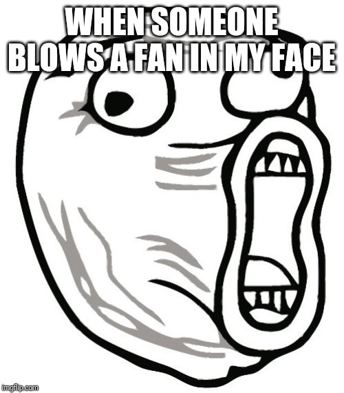 LOL Guy |  WHEN SOMEONE BLOWS A FAN IN MY FACE | image tagged in memes,lol guy | made w/ Imgflip meme maker