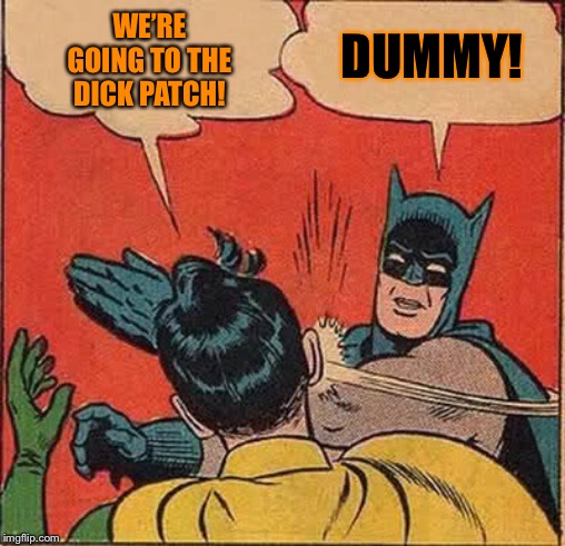 Batman Slapping Robin Meme | WE’RE GOING TO THE DICK PATCH! DUMMY! | image tagged in memes,batman slapping robin | made w/ Imgflip meme maker