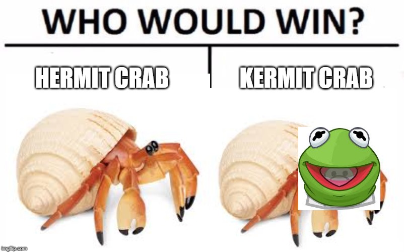 Kermit CRab | HERMIT CRAB; KERMIT CRAB | image tagged in who would win | made w/ Imgflip meme maker