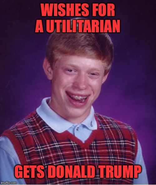 Bad Luck Brian Meme | WISHES FOR A UTILITARIAN GETS DONALD TRUMP | image tagged in memes,bad luck brian | made w/ Imgflip meme maker
