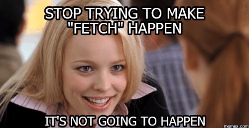 Stop making fetch happen Blank Meme Template