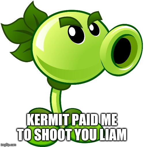 Repeater | KERMIT PAID ME TO SHOOT YOU LIAM | image tagged in repeater | made w/ Imgflip meme maker