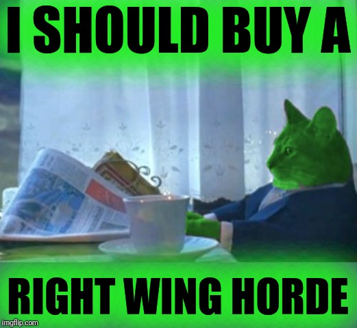 I Should Buy a Boat RayCat | I SHOULD BUY A RIGHT WING HORDE | image tagged in i should buy a boat raycat | made w/ Imgflip meme maker