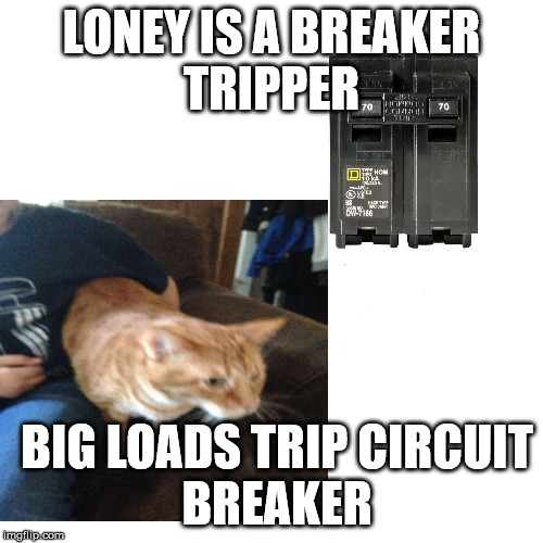 fat loney | LONEY IS A BREAKER
TRIPPER; BIG LOADS TRIP CIRCUIT
BREAKER | image tagged in short circuit | made w/ Imgflip meme maker