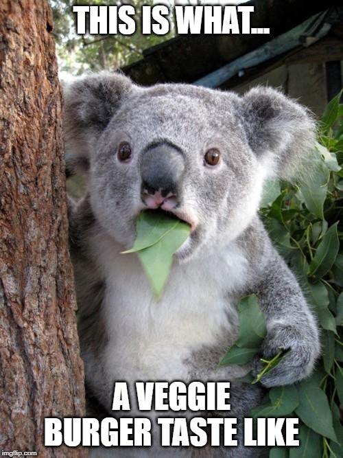 Surprised Koala Meme | THIS IS WHAT... A VEGGIE BURGER TASTE LIKE | image tagged in memes,surprised koala | made w/ Imgflip meme maker