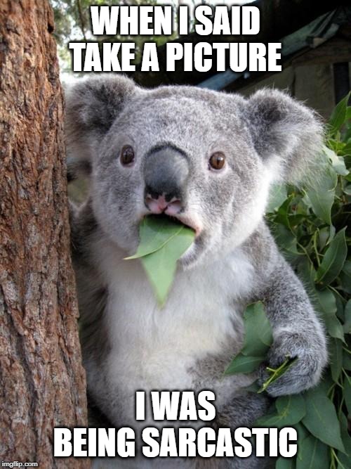 Surprised Koala Meme | WHEN I SAID TAKE A PICTURE; I WAS BEING SARCASTIC | image tagged in memes,surprised koala | made w/ Imgflip meme maker