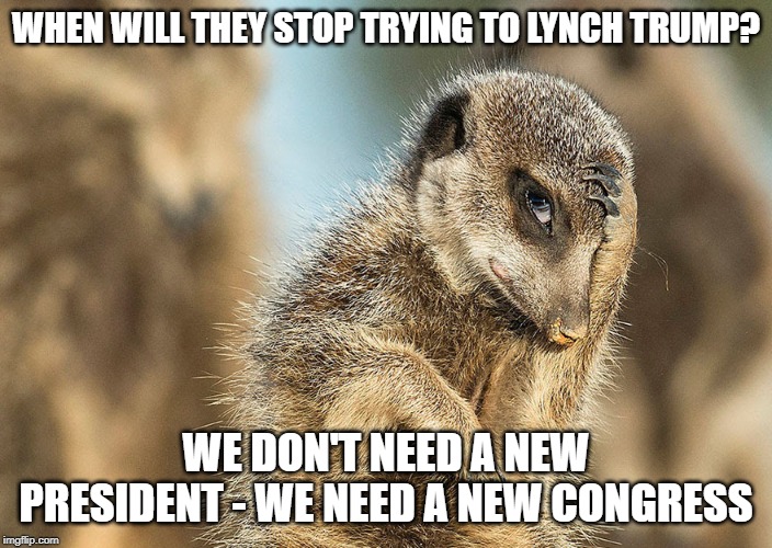 need a new congress | WHEN WILL THEY STOP TRYING TO LYNCH TRUMP? WE DON'T NEED A NEW PRESIDENT - WE NEED A NEW CONGRESS | image tagged in lynching,trump,congress | made w/ Imgflip meme maker