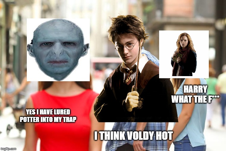 Distracted Boyfriend | HARRY WHAT THE F***; YES I HAVE LURED POTTER INTO MY TRAP; I THINK VOLDY HOT | image tagged in memes,distracted boyfriend | made w/ Imgflip meme maker