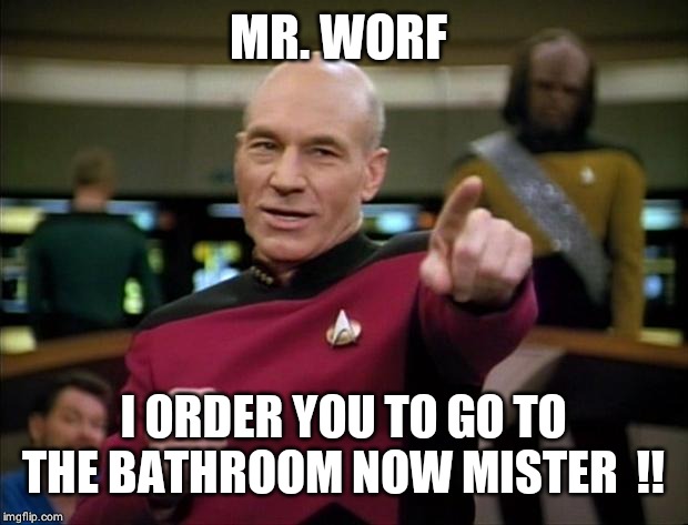 Picard | MR. WORF I ORDER YOU TO GO TO THE BATHROOM NOW MISTER  !! | image tagged in picard | made w/ Imgflip meme maker