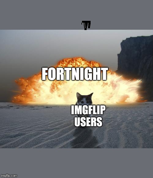 cat explosion | FORTNIGHT; IMGFLIP USERS | image tagged in cat explosion | made w/ Imgflip meme maker