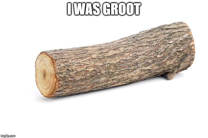 I WAS GROOT | image tagged in groot | made w/ Imgflip meme maker