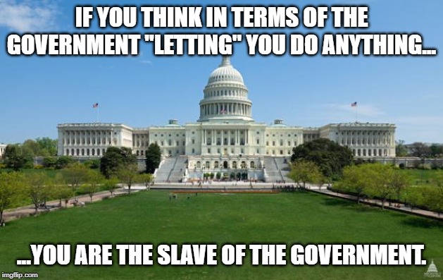 dbag government | IF YOU THINK IN TERMS OF THE GOVERNMENT "LETTING" YOU DO ANYTHING... ...YOU ARE THE SLAVE OF THE GOVERNMENT. | image tagged in dbag government | made w/ Imgflip meme maker