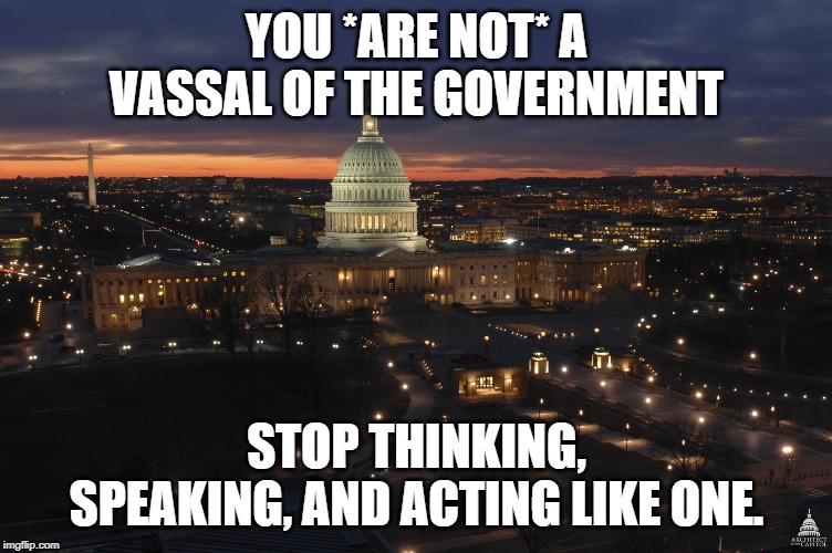 US Capitol Building At Night | YOU *ARE NOT* A VASSAL OF THE GOVERNMENT; STOP THINKING, SPEAKING, AND ACTING LIKE ONE. | image tagged in us capitol building at night | made w/ Imgflip meme maker