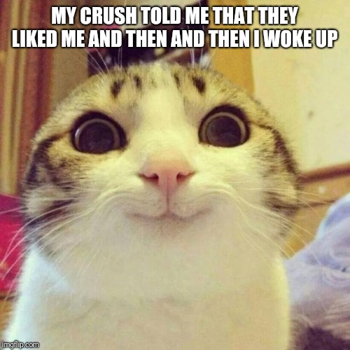 Smiling Cat | MY CRUSH TOLD ME THAT THEY LIKED ME AND THEN AND THEN I WOKE UP | image tagged in memes,smiling cat | made w/ Imgflip meme maker