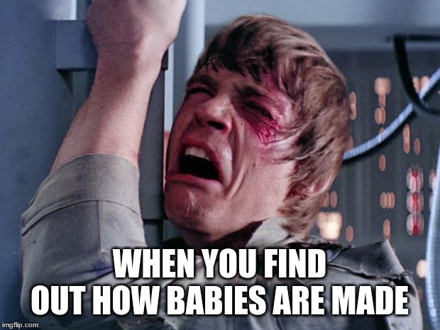 luke nooooo | WHEN YOU FIND OUT HOW BABIES ARE MADE | image tagged in luke nooooo | made w/ Imgflip meme maker