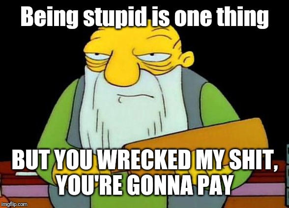 That's a paddlin' Meme | Being stupid is one thing; BUT YOU WRECKED MY SHIT,
YOU'RE GONNA PAY | image tagged in memes,that's a paddlin',funny memes,funny,savage memes | made w/ Imgflip meme maker