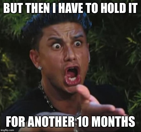 DJ Pauly D Meme | BUT THEN I HAVE TO HOLD IT FOR ANOTHER 10 MONTHS | image tagged in memes,dj pauly d | made w/ Imgflip meme maker