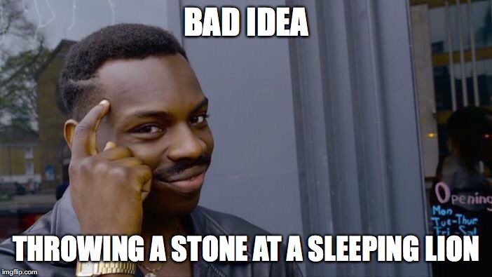 Roll Safe Think About It | BAD IDEA; THROWING A STONE AT A SLEEPING LION | image tagged in memes,roll safe think about it | made w/ Imgflip meme maker