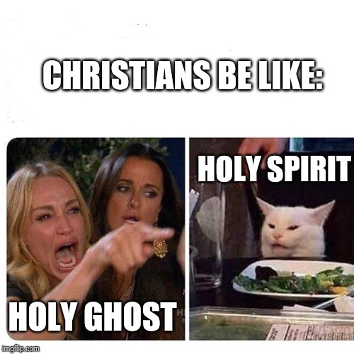 Woman and cat | CHRISTIANS BE LIKE:; HOLY SPIRIT; HOLY GHOST | image tagged in woman and cat | made w/ Imgflip meme maker