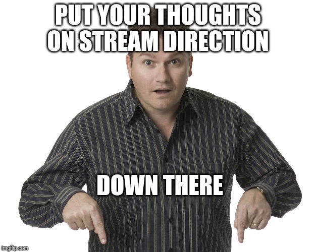 What direction should we go from here? | PUT YOUR THOUGHTS ON STREAM DIRECTION; DOWN THERE | image tagged in pointing down,beyondthecomments,your choice | made w/ Imgflip meme maker