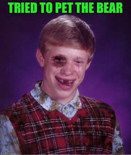 Beat-up Bad Luck Brian | TRIED TO PET THE BEAR | image tagged in beat-up bad luck brian | made w/ Imgflip meme maker
