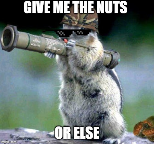 Bazooka Squirrel | GIVE ME THE NUTS; OR ELSE | image tagged in memes,bazooka squirrel | made w/ Imgflip meme maker