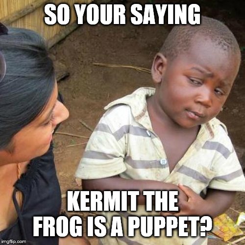 Third World Skeptical Kid | SO YOUR SAYING; KERMIT THE FROG IS A PUPPET? | image tagged in memes,third world skeptical kid | made w/ Imgflip meme maker
