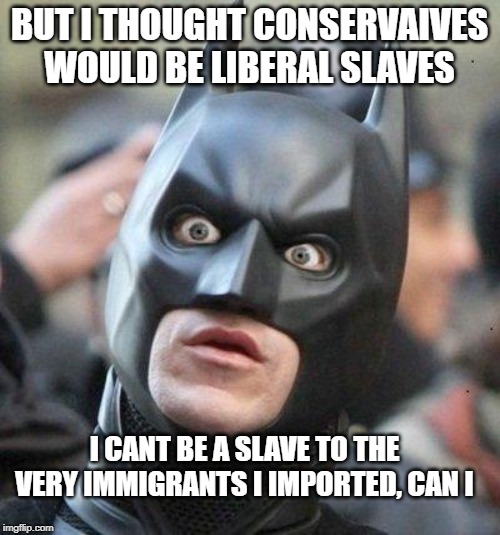 Shocked Batman | BUT I THOUGHT CONSERVAIVES WOULD BE LIBERAL SLAVES I CANT BE A SLAVE TO THE VERY IMMIGRANTS I IMPORTED, CAN I | image tagged in shocked batman | made w/ Imgflip meme maker