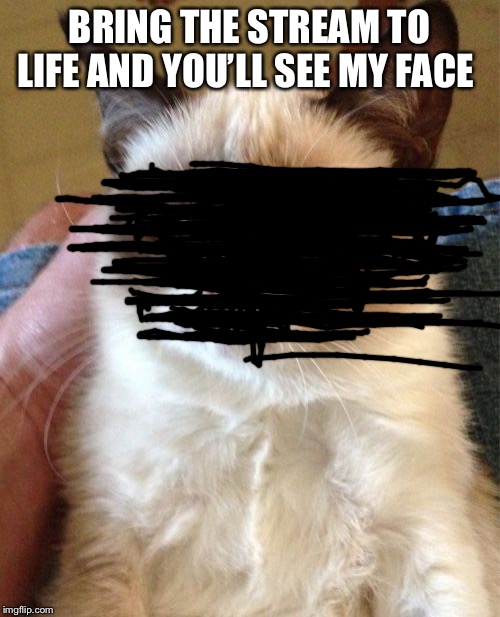 Grumpy Cat Meme |  BRING THE STREAM TO LIFE AND YOU’LL SEE MY FACE | image tagged in memes,grumpy cat | made w/ Imgflip meme maker